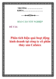 Báo cáo tốt nghiệp: Phân tích hiệu quả hoạt động kinh doanh tại công ty cổ phần thủy sản Cafatex