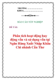 Báo cáo tốt nghiệp: Phân tích hoạt động huy động vốn và sử dụng vốn tại Ngân Hàng Xuất Nhập Khẩu Chi nhánh Cần Thơ