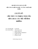 Đề tài: CẤU TRÚC VÀ TRẠNG THÁI CỦA SỮA CHUA: CÁC YẾU TỐ ẢNH HƯỞNG