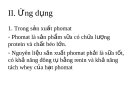 Tài liệu về sản xuất phomat