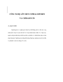 CÔNG NGHỆ LÊN MEN CEPHALOSPORIN VÀ CEPHAMYCIN 