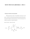 THUỐC PHONG BẾ ADRENERGIC – PHẦN 2 