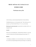 THUỐC MỠ TRA MẮT TETRACYCLIN HYDROCLORID  