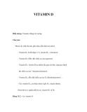 Các loại VITAMIN D 