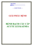 BỆNH BẠCH CẦU CẤP - ACUTE LEUKAEMIA