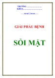 ĐẠI CƯƠNG SỎI MẬT