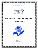 CHUYÊN ĐỀ LUYỆN THI ĐẠI HỌC MÔN VĂN 2011