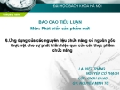 Báo cáo tiểu luận môn: Phát triển sản phẩm mới