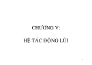 Mô hình hóa môi trường-06 Hệ tác động lùi