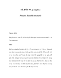 KÉ ĐẦU NGỰA (Quả)  