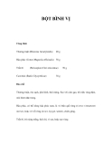 BỘT BÌNH VỊ 
