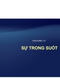 Tự học Indesign CS2 : Sự trong suốt part 1