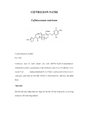 CEFTRIAXON NATRI  