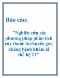 Báo cáo: "Nghiên cứu các phương pháp phân tích cây thuốc lá chuyển gen kháng bệnh khảm lá thế hệ T1"