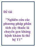 Đề tài "Nghiên cứu các phương pháp phân tích cây thuốc lá chuyển gen kháng bệnh khảm lá thế hệ T1"