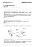  TÚC THIẾU ÂM THẬN KINH 