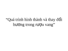 Đề tài “Quá trình hình thành và thay đổi hương trong rượu vang”