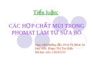 CÁC HỢP CHẤT MÙI TRONG PHOMAT LÀM TỪ SỮA BÒ