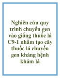 Nghiên cứu quy trình chuyển gen vào giống thuốc lá C9-1 nhằm tạo cây thuốc lá chuyển gen kháng bệnh khảm lá