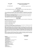 QUYẾT ĐỊNH Số: 74/2007/QĐ-BTC VỀ VIỆC BAN HÀNH CHẾ ĐỘ KẾ TOÁN ÁP DỤNG CHO QUỸ DỊCH VỤ VIỄN THÔNG CÔNG ÍCH VIỆT NAM