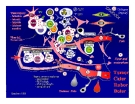 Bài giảng bệnh lý học thú y : Viêm - inflammatio part 2