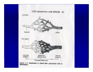 Bài giảng bệnh lý học thú y : Viêm - inflammatio part 3