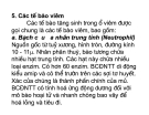 Bài giảng bệnh lý học thú y : Tế bào viêm part 1