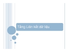 Tầng Liên kết dữ liệu.