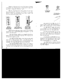 Kỹ thuật chăn nuôi gà Nòi part 4