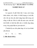 Ôn thi hóa học lớp 9 -   BÀI 30: SILIC VÀ CÔNG NGHIỆP SILICAT 