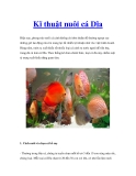Kĩ thuật nuôi cá Dĩa  