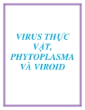 VIRUS THỰC VẬT, PHYTOPLASMA VÀ VIROID