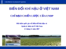 BIẾN ĐỔI KHÍ HẬU Ở VIỆT NAM CHỈ ĐẠO CHIẾN LƯỢC CỦA UNDP