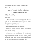 Giáo án sinh học lớp 12 chương trình nâng cao - Tiết: 13 Bài: SỰ TÁC ĐỘNG CỦA NHIỀU GEN VÀ TÍNH ĐA HIỆU CỦA GEN
