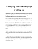 Những cây xanh thích hợp đặt ở phòng ăn  