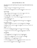 BÀI TẬP TÌM LỖI SAI – SỐ 2  