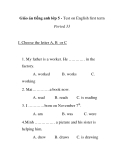 Giáo án tiếng anh lớp 5 - Test on English first term Period 33 