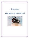 Tiểu luận: Chủ nghĩa xã hội dân chủ
