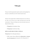 Đặc trưng bệnh Viêm gan 
