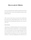 Rôm sảy mùa hè (Miliaria) 