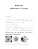 Kỹ thuật DSA (Digital Subtraction Angiography) 