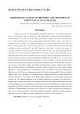 Báo cáo nghiên cứu khoa học: "nghiên cứu dịch tễ học của serotyping và kiểu gen của  vi khuẩn Streptococcus suis ở Thái Lan"