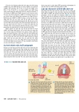 Công nghệ gene đến Protein part 4