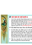 Cơ sở di truyền ung thư part 7