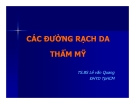 CÁC ĐƯỜNG RẠCH DA THẨM MỸ part 1