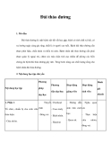 Bệnh lý Đái tháo đường   