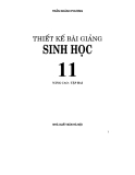 Thiết kế bài giảng sinh học 11 nâng cao tập 2 part 1