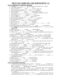 TEST ON GERUND AND INFINITIVE (3) 