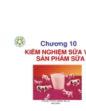 Kiểm nghiệm thú sản - Chương 10: Kiểm nghiệm sữa và sản phẩm sữa