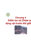  Kiểm nghiệm thú sản - Chương 4: Kiểm tra và chăm sóc động vật trước khi giết mổ
